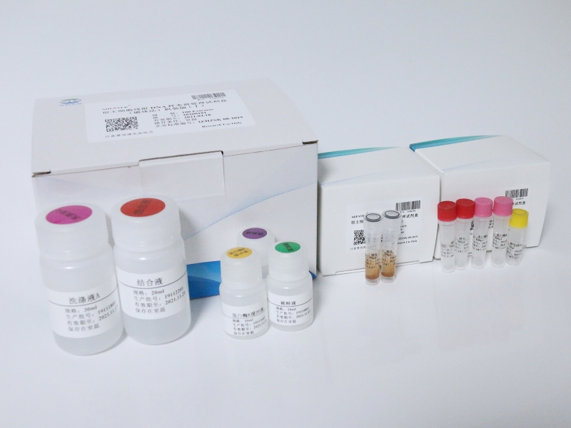 宿主细胞残留DNA 样本前处理试剂盒（磁珠法）机装版