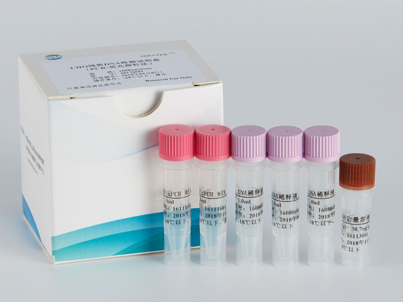 CHO残留DNA检测试剂盒（PCR-荧光探针法）