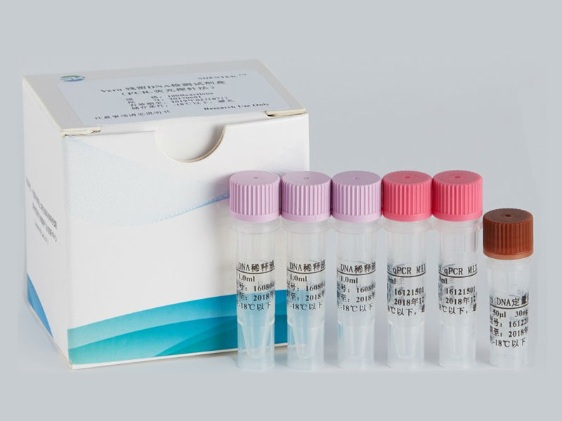 Vero残留DNA检测试剂盒（PCR-荧光探针法）