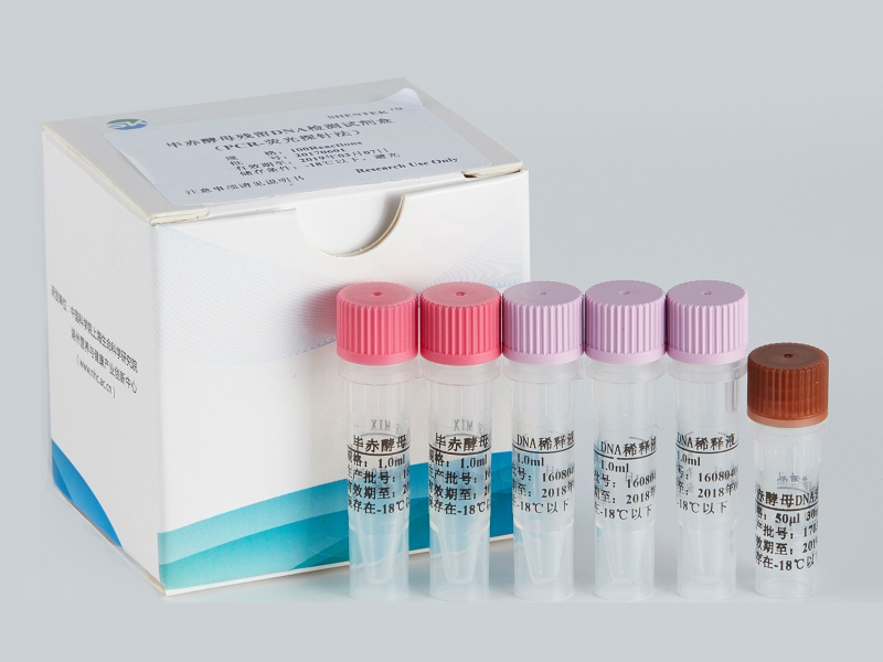 毕赤酵母残留DNA检测试剂盒（PCR-荧光探针法）