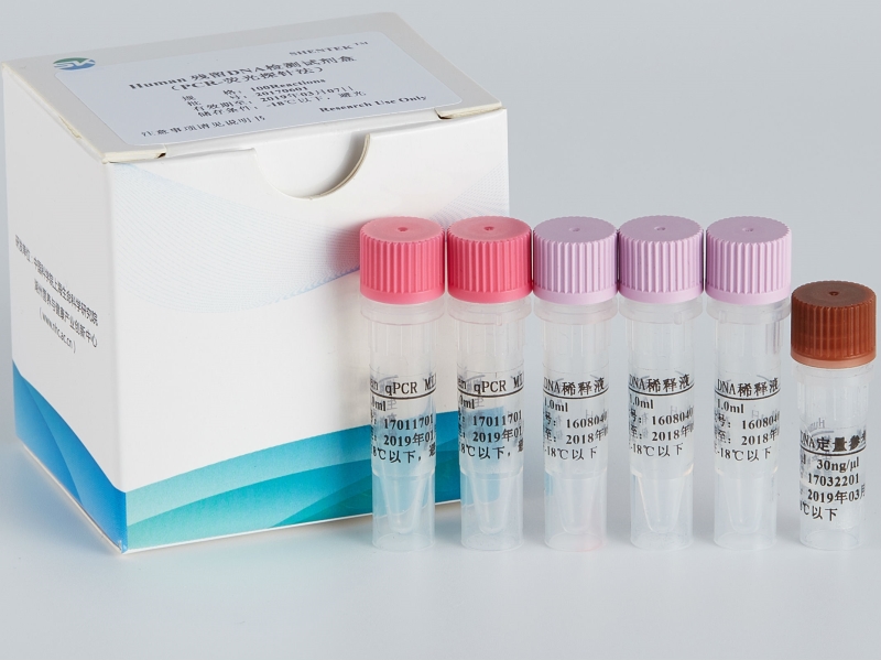 Human残留DNA检测试剂盒（PCR-荧光探针法）