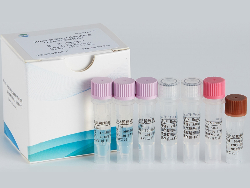 MDCK残留DNA检测试剂盒（PCR-荧光探针法）