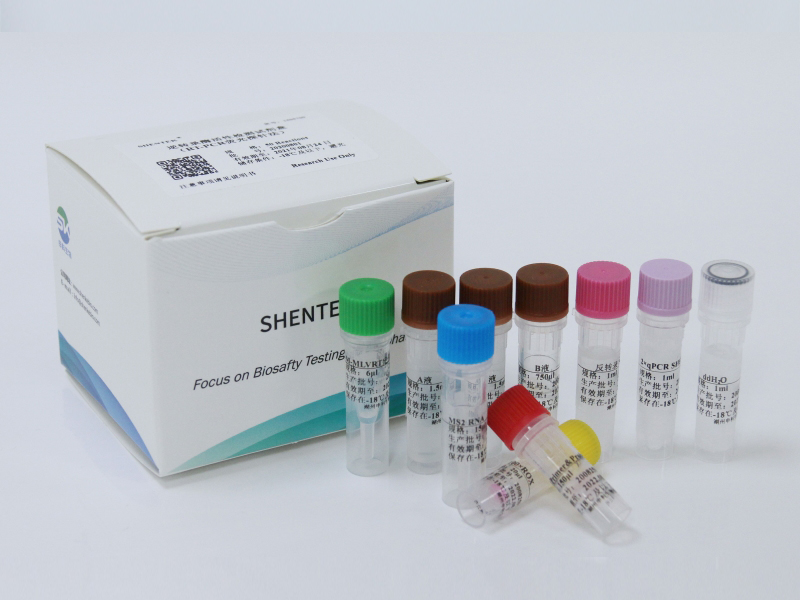 逆转录酶活性检测试剂盒（RT-荧光PCR法）