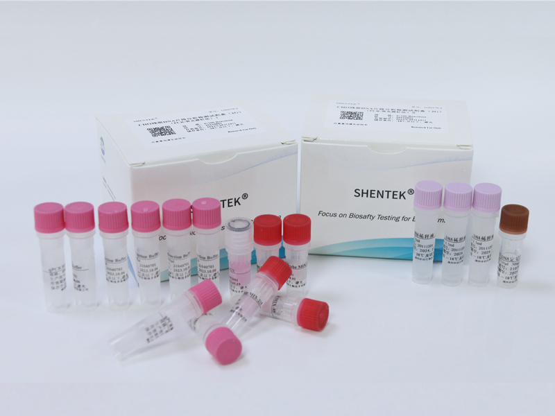 CHO残留DNA片段分析检测试剂盒（2G）（PCR-荧光探针法）