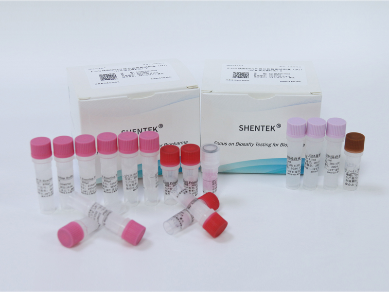 E.coli残留DNA片段分析检测试剂盒（2G）（PCR-荧光探针法）