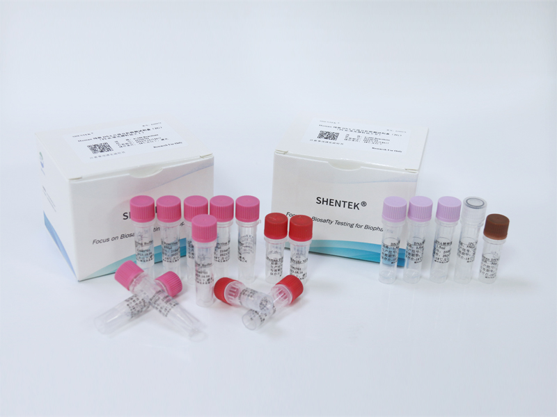 Human残留DNA片段分析检测试剂盒（2G）（PCR-荧光探针法）