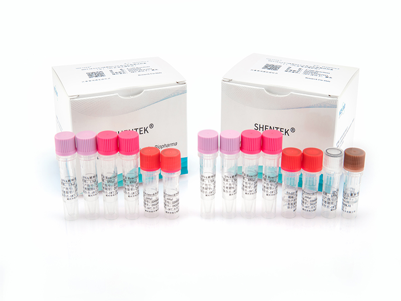 HPV18 E6/E7残留DNA片段分析检测试剂盒
