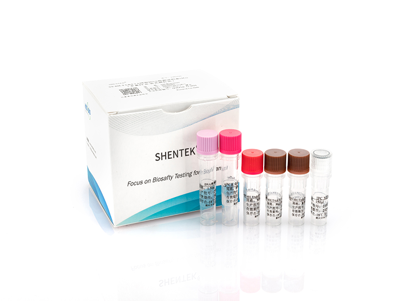 SV40LTA&E1A 残留DNA检测试剂盒（2G）（多重 PCR-荧光探针法）
