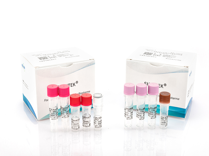 MDCK残留DNA片段分析检测试剂盒（PCR-荧光探针法）