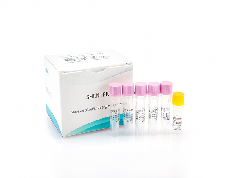 2×qPCR SHENmix（荧光探针法）