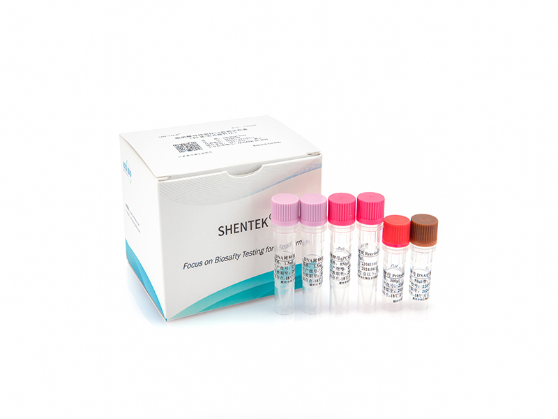 酿酒酵母残留DNA检测试剂盒（PCR-荧光探针法）