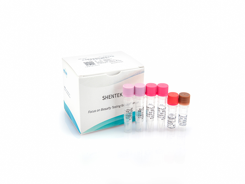 汉逊酵母残留DNA检测试剂盒（PCR-荧光探针法）