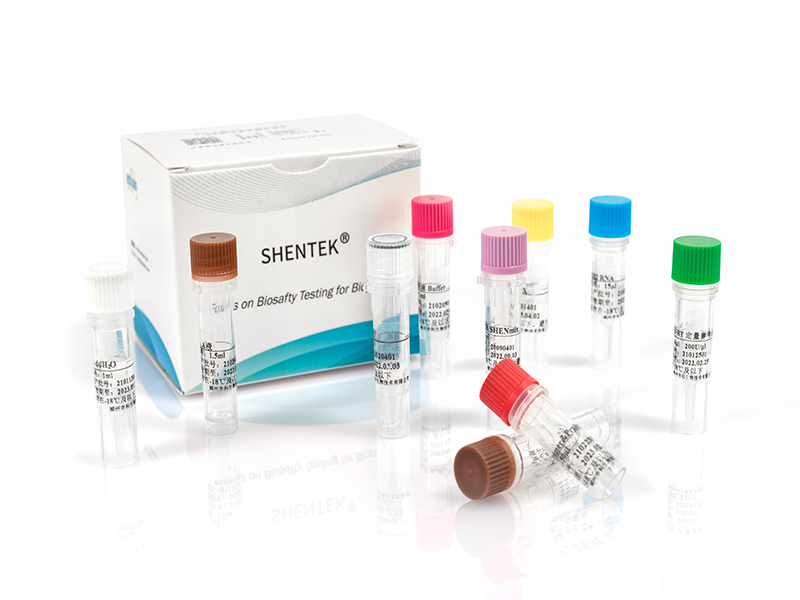 Reverse Transcriptase Assay Kit-HZSKBio