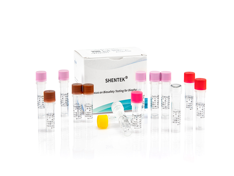 端粒酶活检测试剂盒