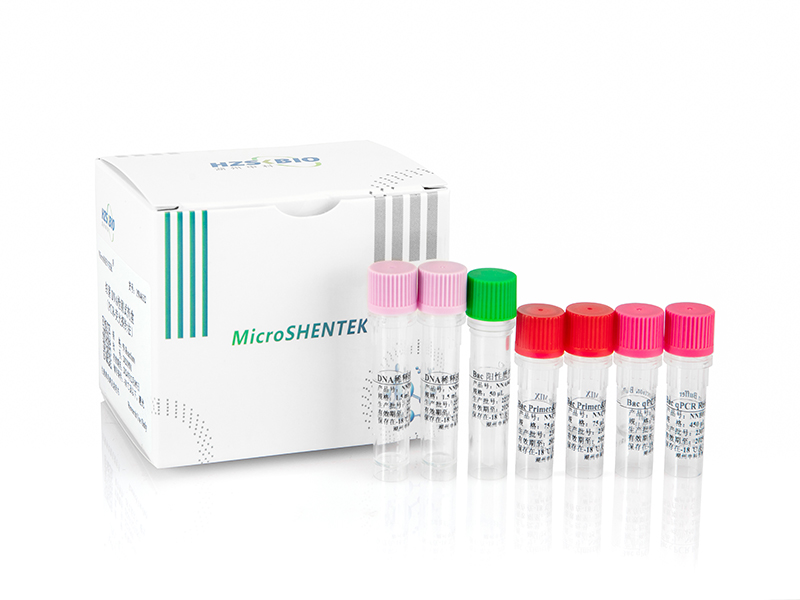 细菌DNA检测试剂盒（PCR-荧光探针法）