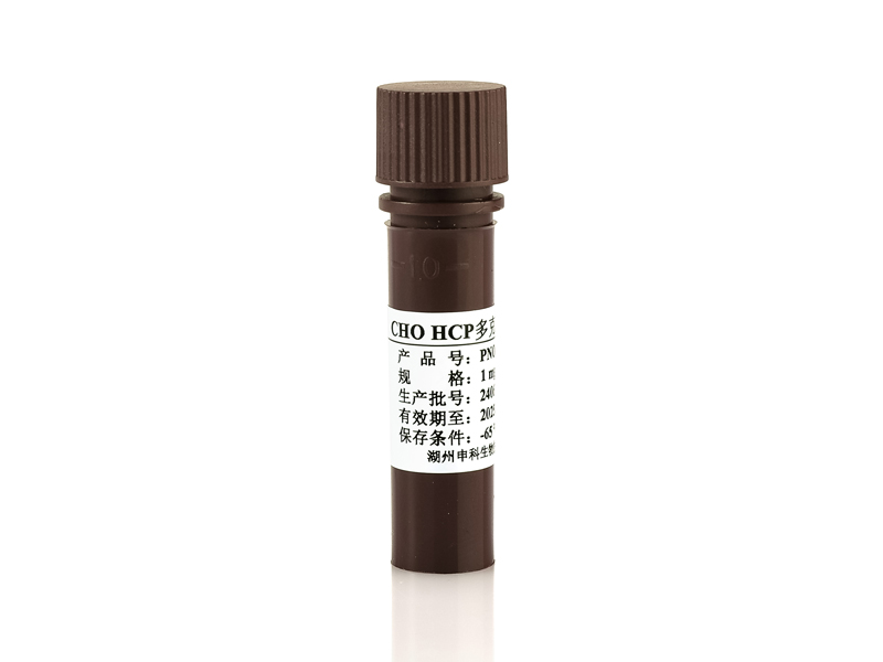 CHO HCP多克隆抗体