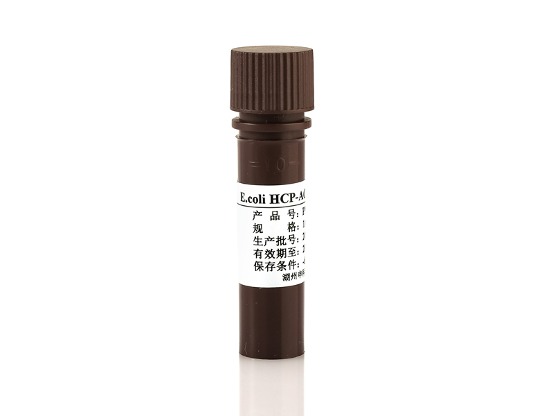 E.coli克隆菌HCP多克隆抗体