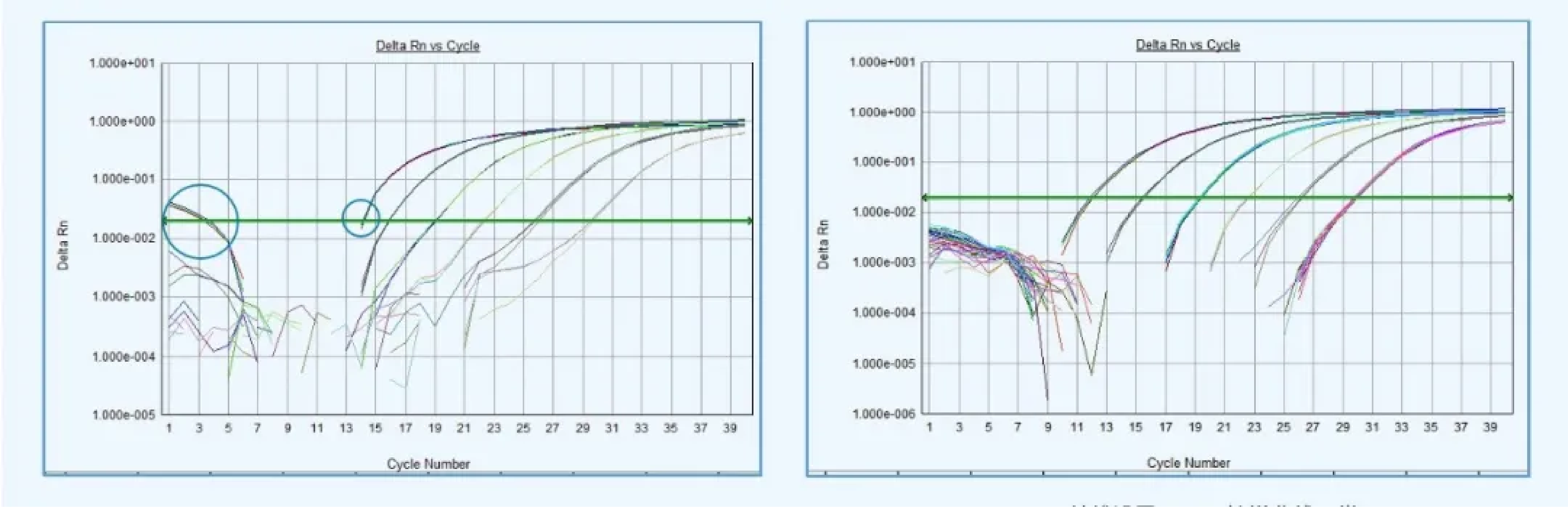 qPCR-03.png qPCR-03.png