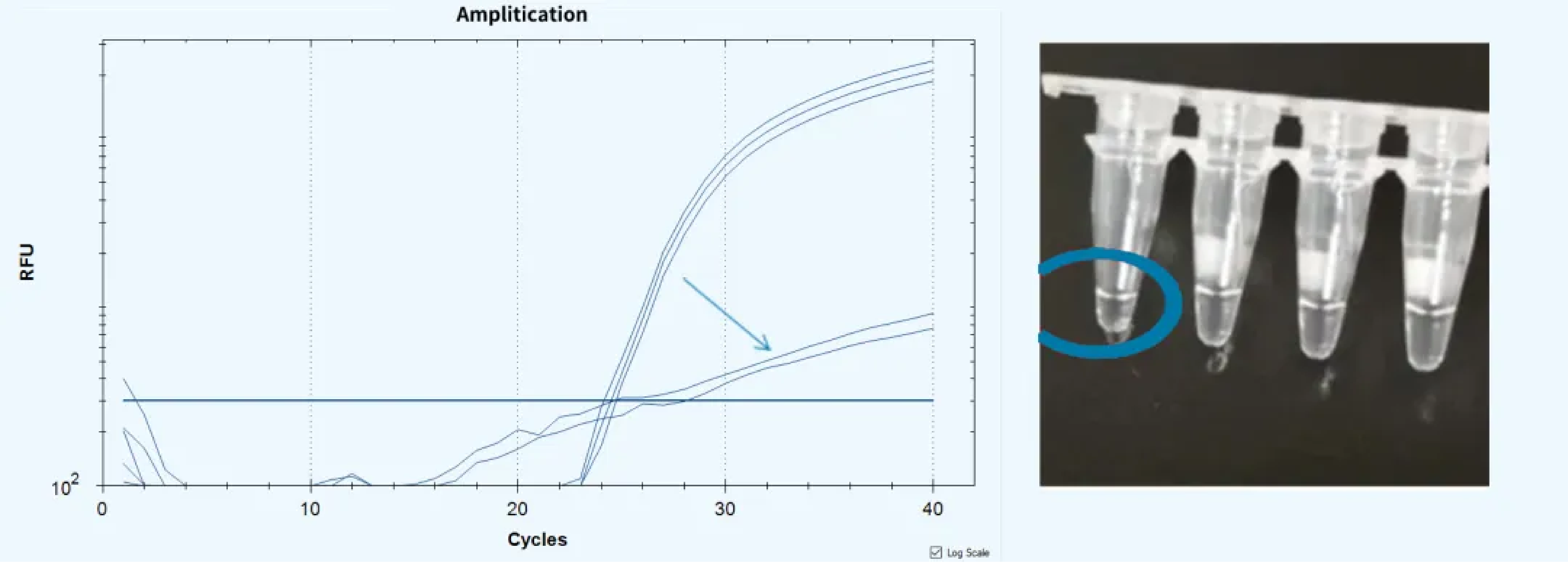 qPCR-05.png qPCR-05.png