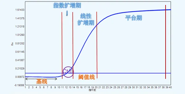 P1.png