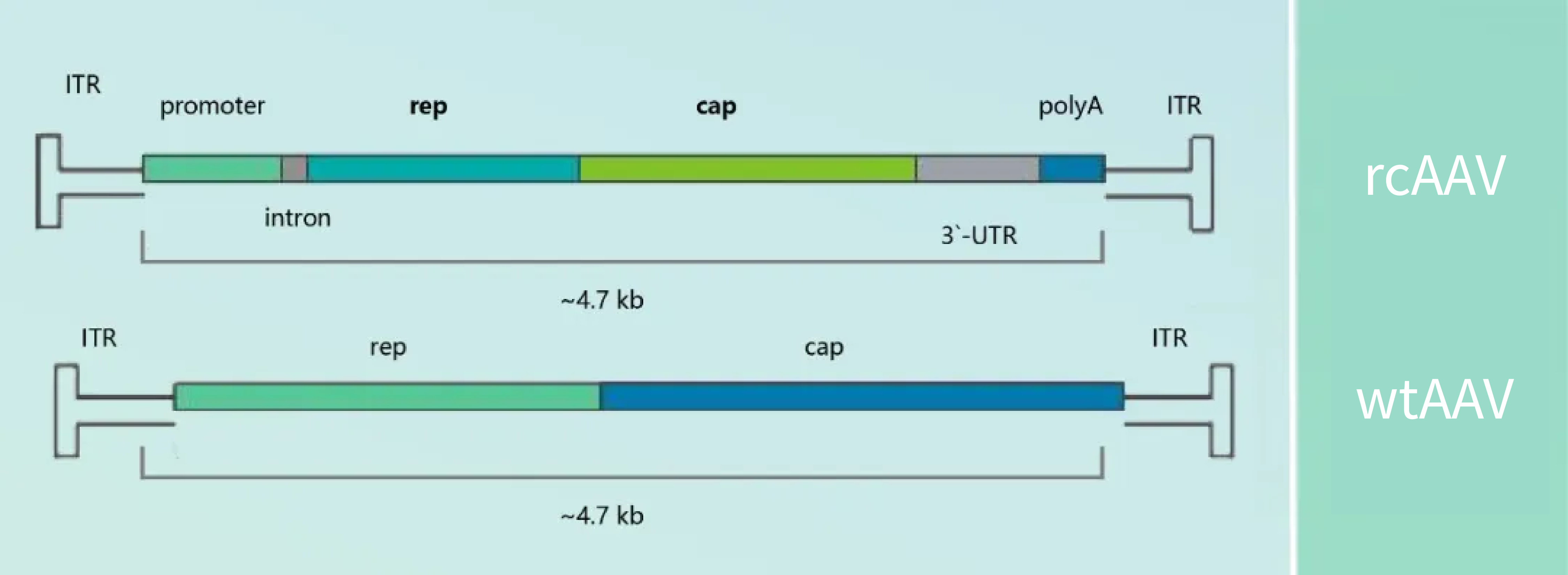 未标题-11122.png 未标题-11122.png