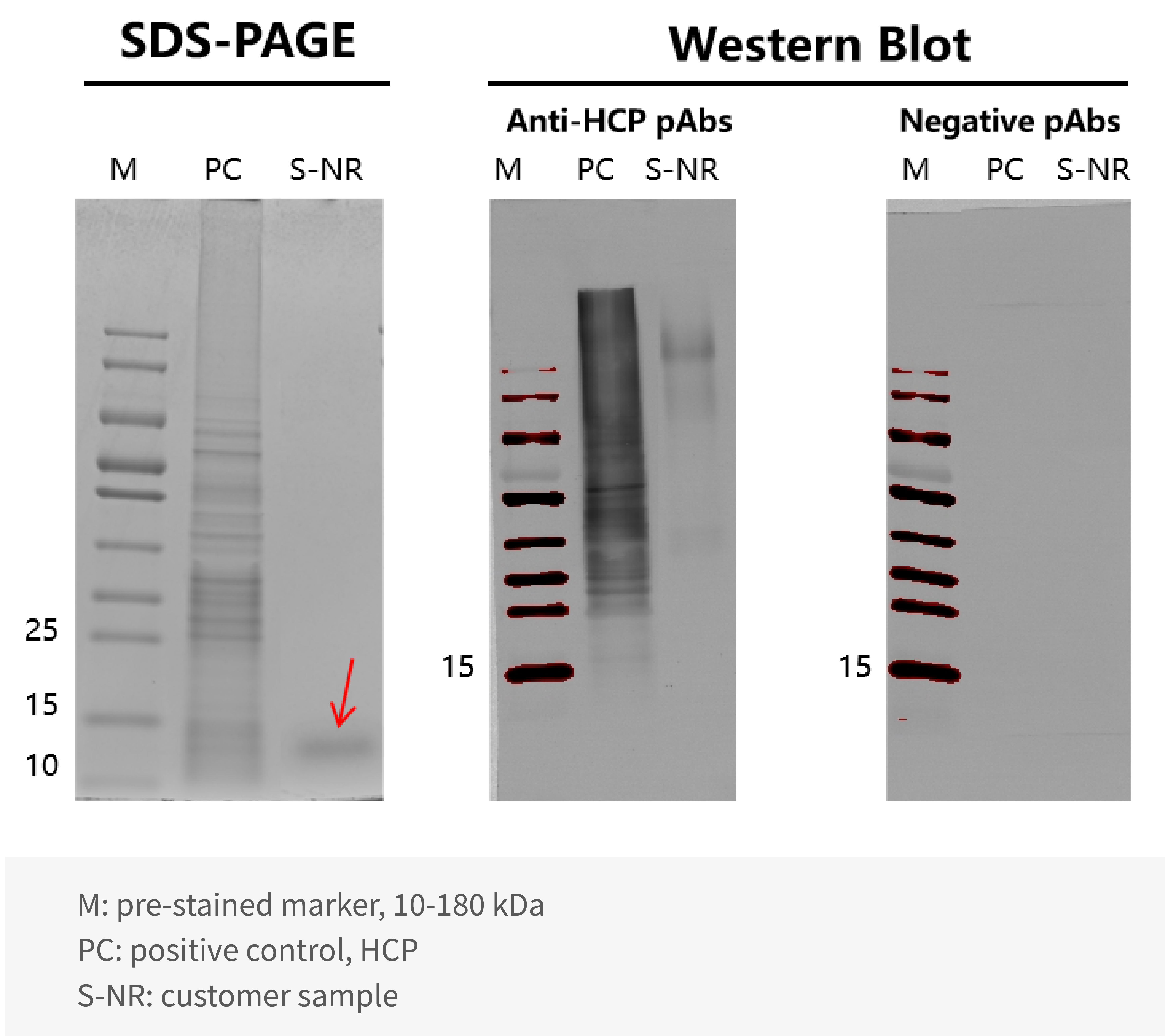 配图-01.png 配图-01.png