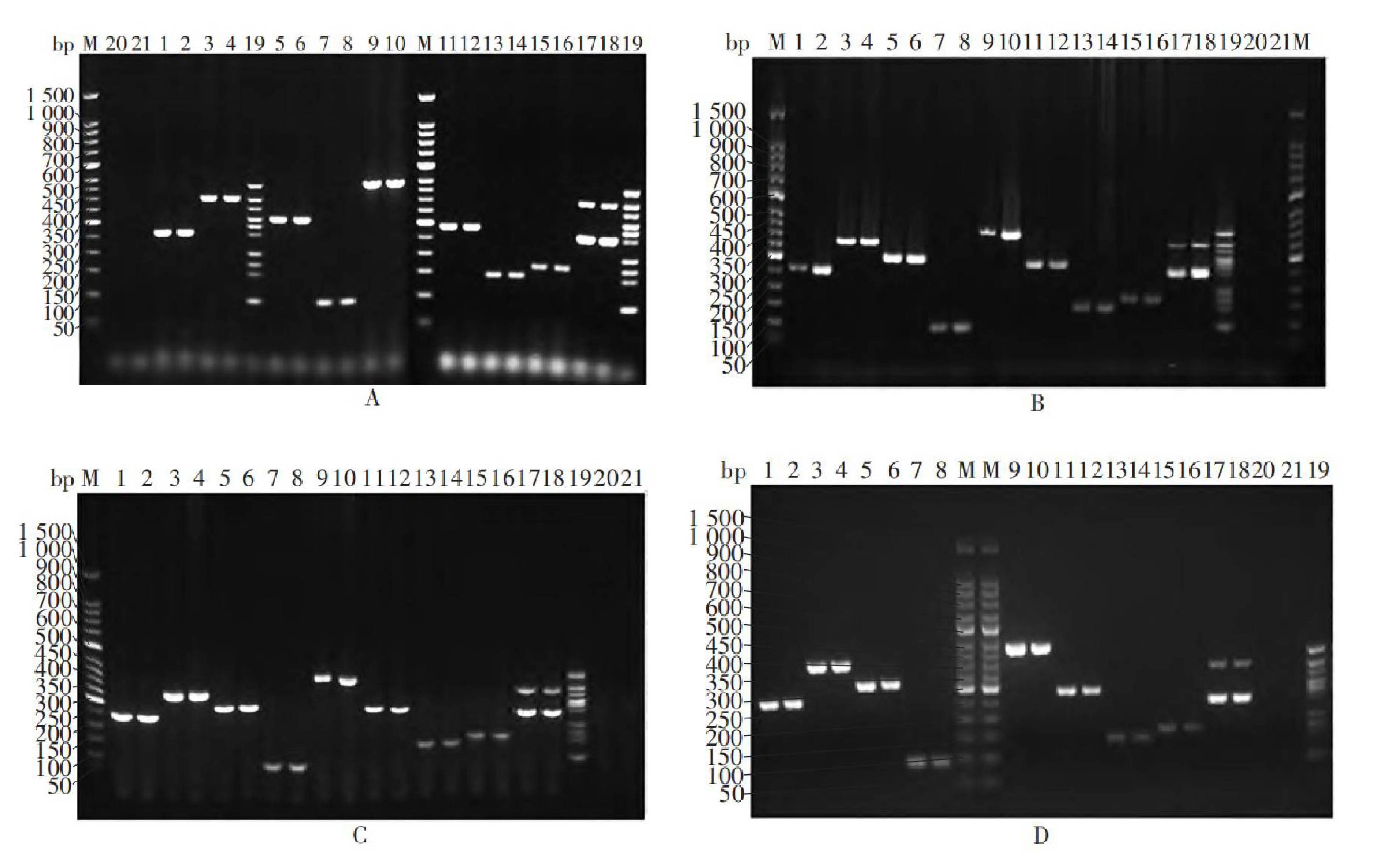 未标题-1-01.jpg 未标题-1-01.jpg
