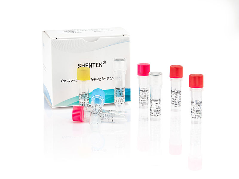 Bovine Virus Detection Kit (BVDV/REO-3/PI-3/BPV-3/BAV-3)