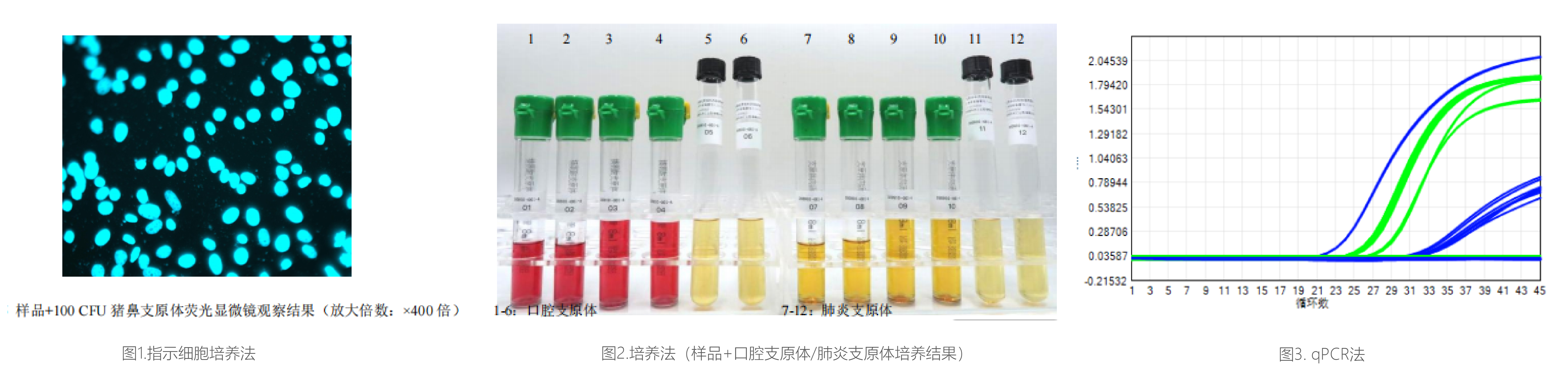 支原体方案对比案例-图表.jpg 支原体方案对比案例-图表.jpg