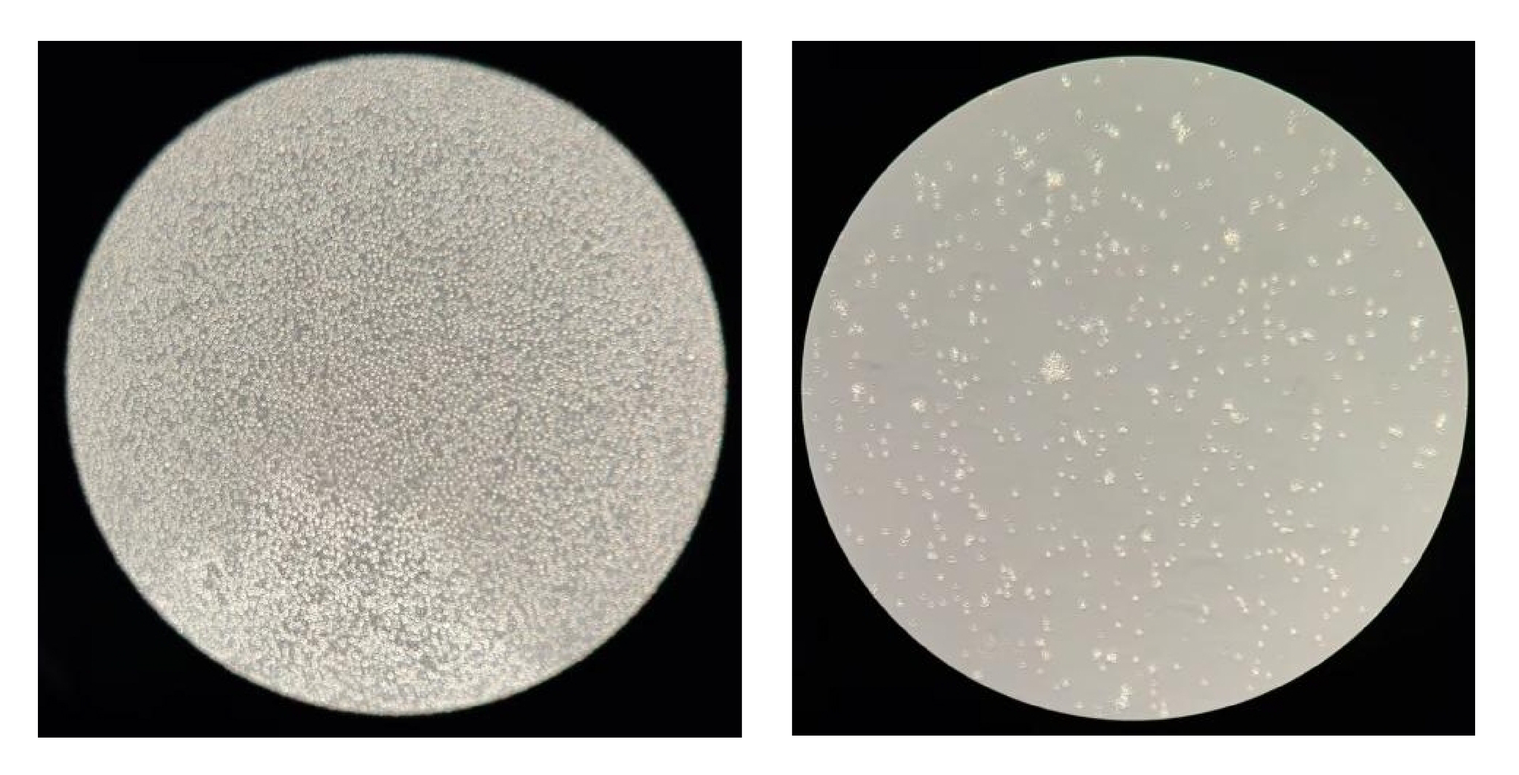 未标题-1_画板 1.jpg