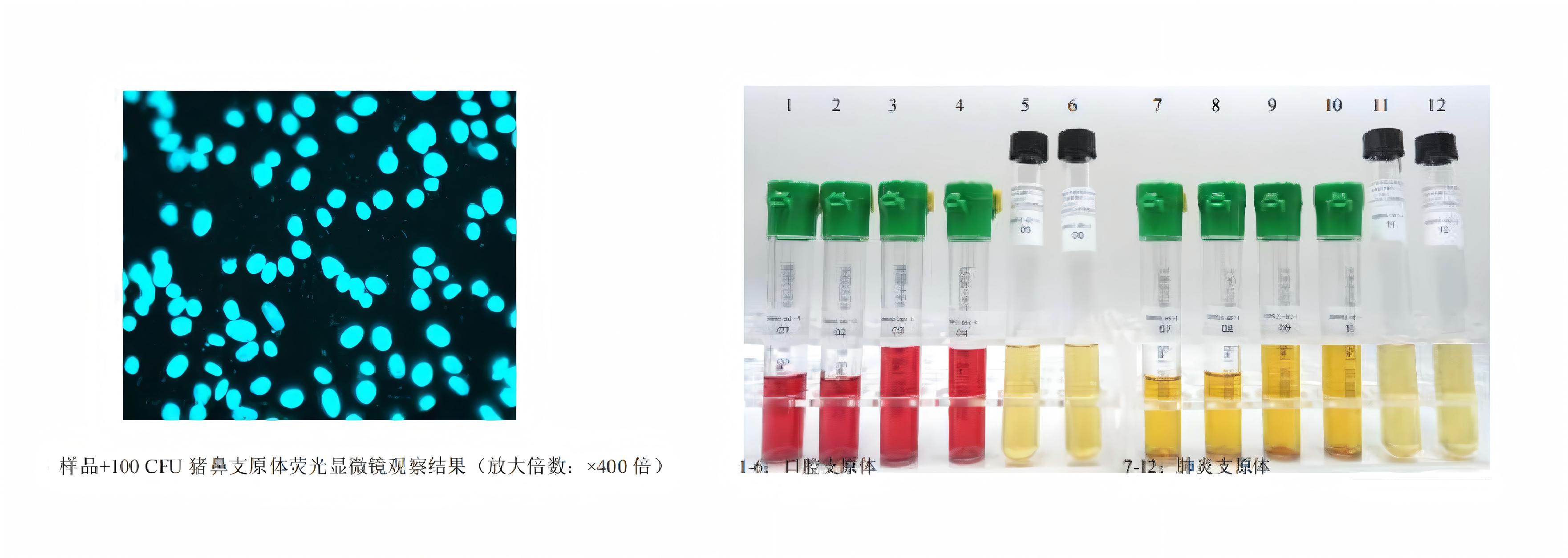 表格1-01(1).jpg 表格1-01(1).jpg